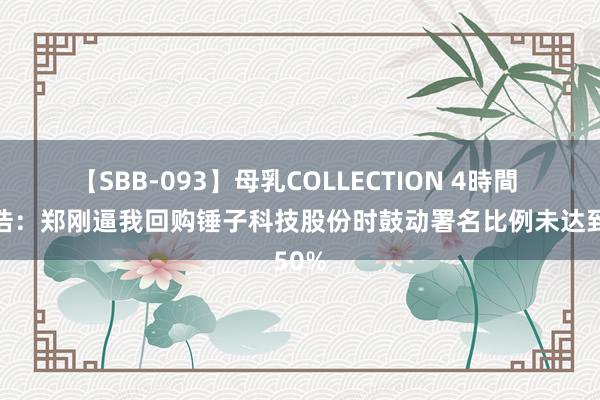 【SBB-093】母乳COLLECTION 4時間 罗永浩：郑刚逼我回购锤子科技股份时鼓动署名比例未达到50%