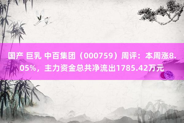 国产 巨乳 中百集团（000759）周评：本周涨8.05%，主力资金总共净流出1785.42万元